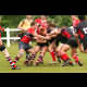 image 37 of 67